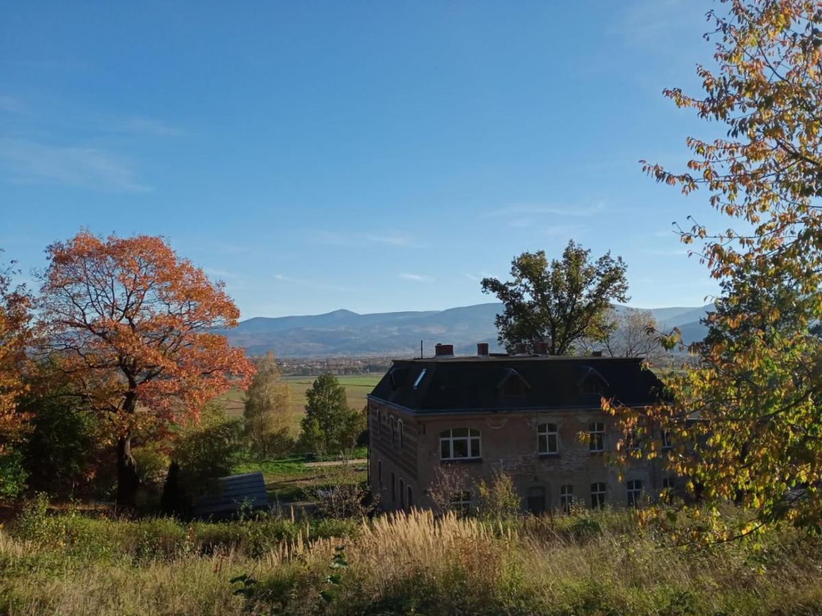 Sunny Bear Bed & Breakfast イェレニャ・グーラ エクステリア 写真