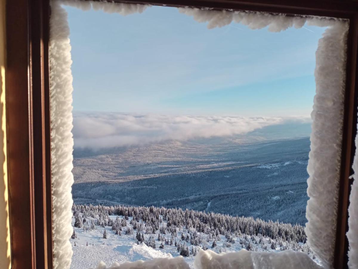 Sunny Bear Bed & Breakfast イェレニャ・グーラ エクステリア 写真